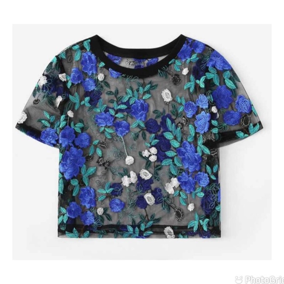 Embroidered Floral Sheer Mesh Crop Top - Picture 2 of 8